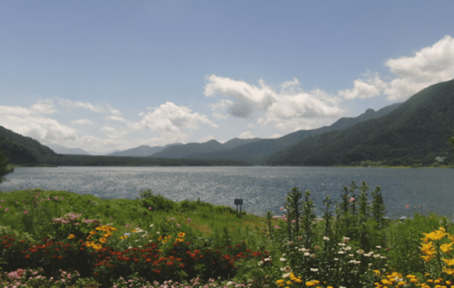 浜の家キャンプ場の風景