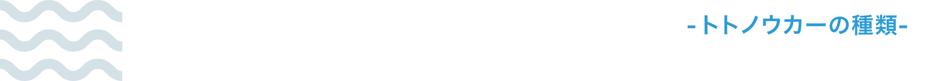 - トトノウカーの種類 -