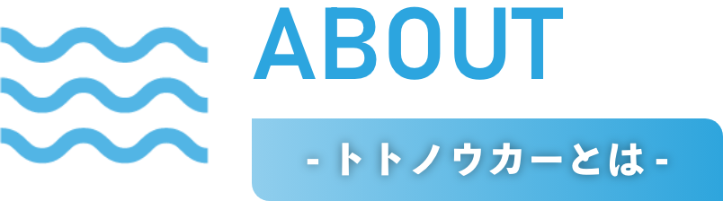 - トトノウカーとは -
