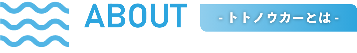 - トトノウカーとは -